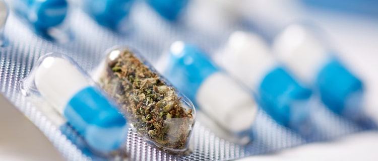 医療大麻は大麻に含まれる成分を利用した薬