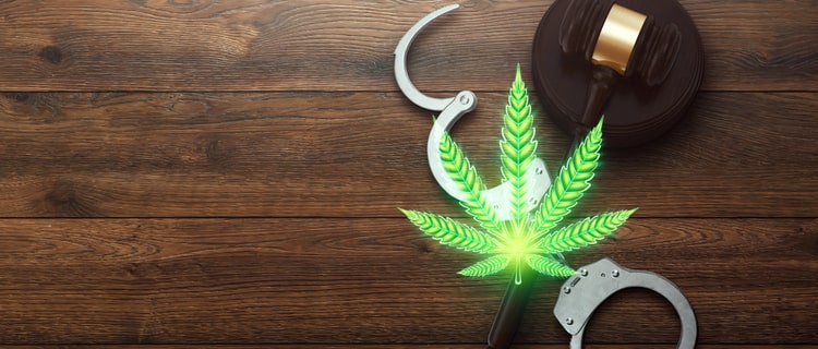 規制対象であるTHCを含む大麻