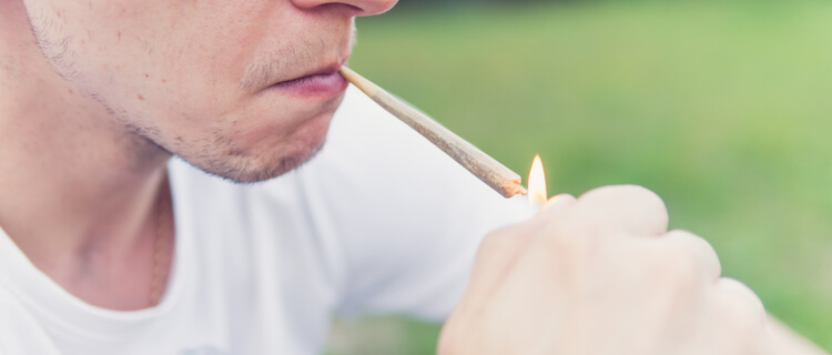 オランダが大麻に寛容な理由を解説