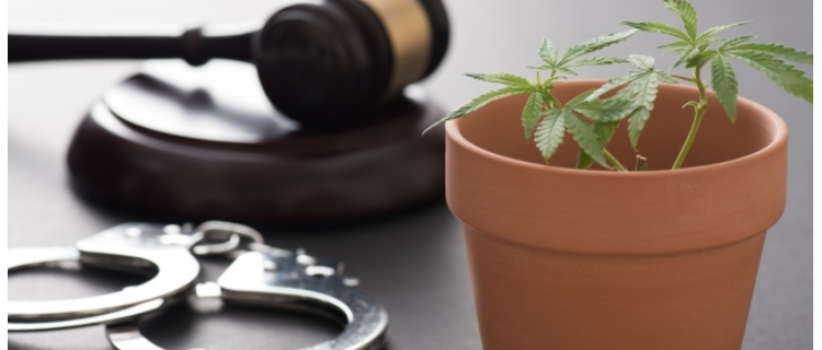 大麻関連の罪で死刑にする国は世界的に少ない