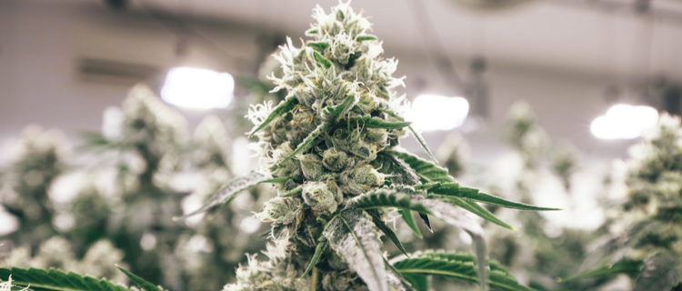 何が問題ですか?