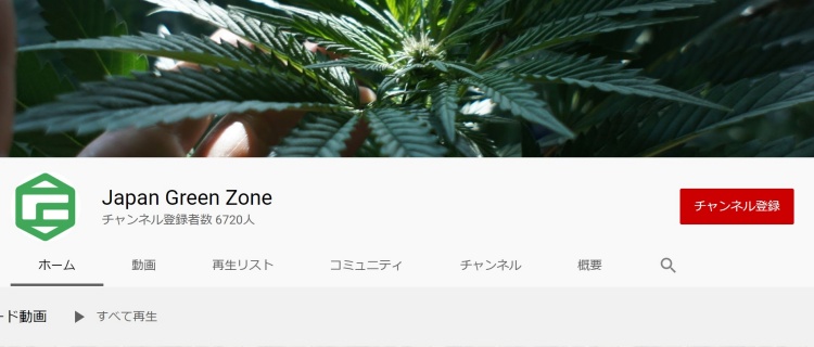 Japan Green Zone｜医療大麻を中心に発信しているチャンネル