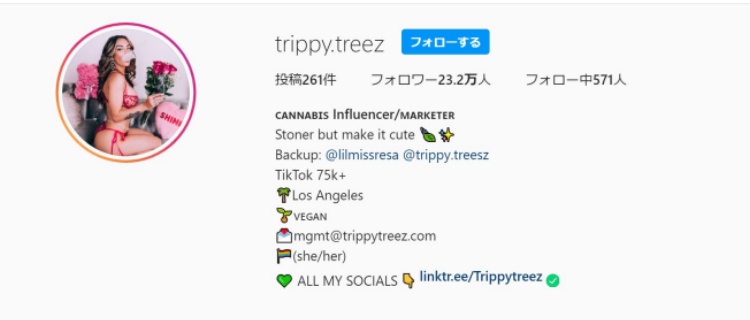 Trippy Treez｜可愛くて女性にも男性にも人気