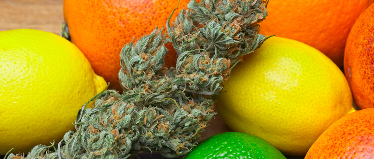 柑橘類と大麻のバッズ