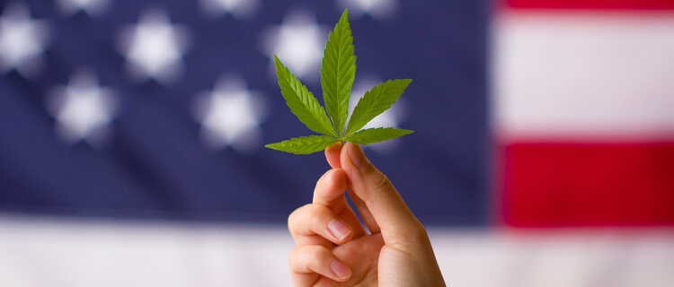アメリカ国旗と大麻の葉