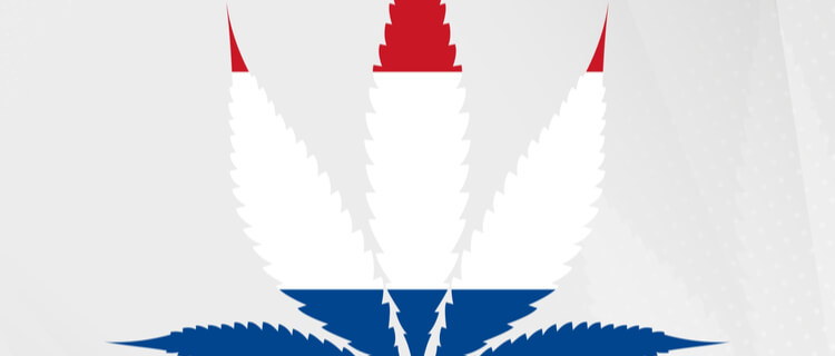 オランダ国旗と大麻