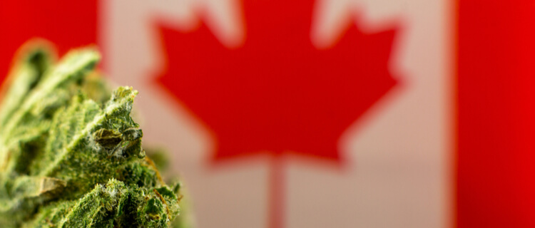 カナダ国旗と大麻